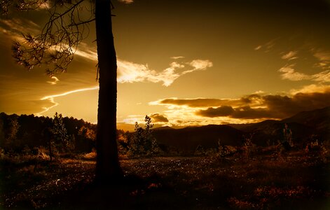 Twilight evening nature photo