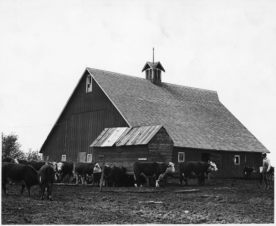 Shelby County, Iowa. A common type of barn. Like most service buildings in the community, it is in e . . . - NARA - 522431