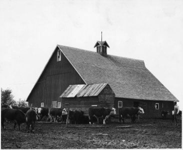 Shelby County, Iowa. A common type of barn. Like most service buildings in the community, it is in e . . . - NARA - 522431