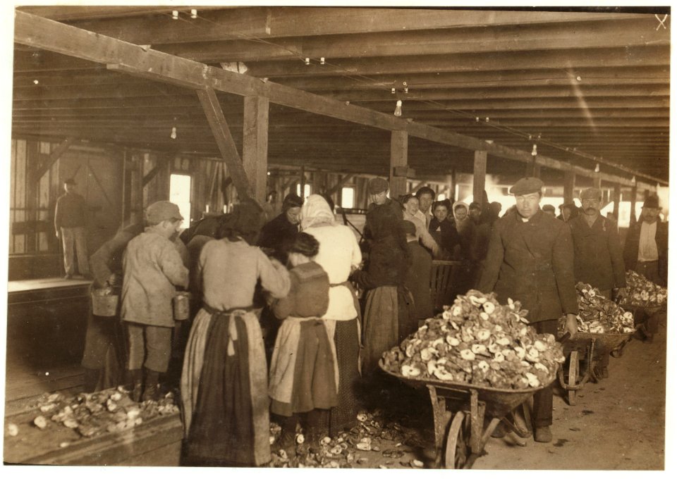 Shucking oysters in the Alabama Canning Company (Dunbar Lopez, Dukate Co.) Small boy on left end is Mike Murphy, ten years old, and from Baltimore. LOC nclc.00829