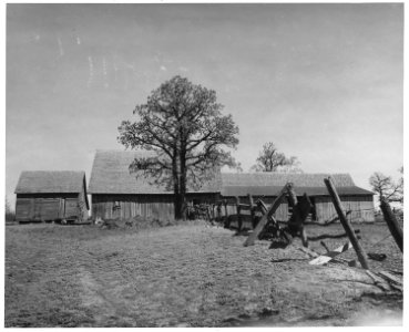 Shelby County, Iowa. Buildings on one of the few run-down places in the county. The operator of this . . . - NARA - 522343