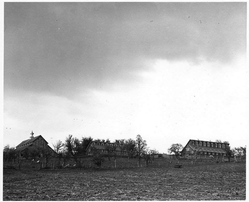 Shelby County, Iowa. Exceptionally well-designed and well-arranged service buildings. The two neare . . . - NARA - 522341