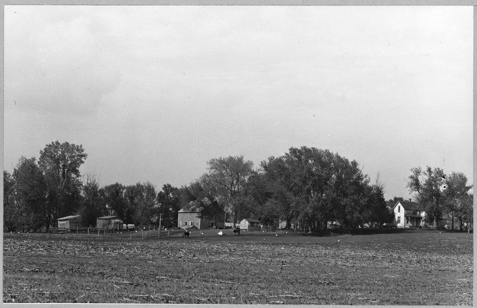 Shelby County, Iowa. General views of farmsteads. These pictures show the layout of typical Shelby C . . . - NARA - 522309