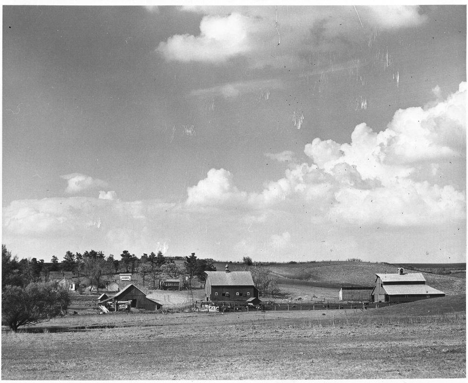 Shelby County, Iowa. General views of farmsteads. These pictures show the layout of typical Shelby C . . . - NARA - 522308