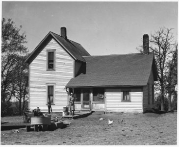 Shelby County, Iowa. Jake Thompson and his wife were among the first people to settle in Shelby Coun . . . - NARA - 522331