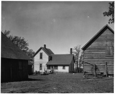 Shelby County, Iowa. Jake Thompson and his wife were among the first people to settle in Shelby Coun . . . - NARA - 522332