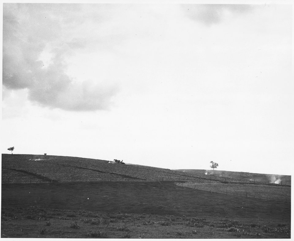 Shelby County, Iowa. Last year's corn stalks are sometimes piled in rows and burned on the land inst . . . - NARA - 522310
