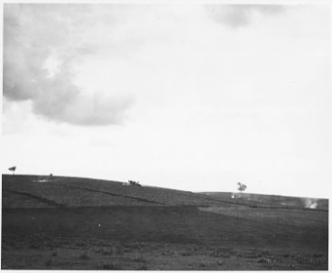Shelby County, Iowa. Last year's corn stalks are sometimes piled in rows and burned on the land inst . . . - NARA - 522310