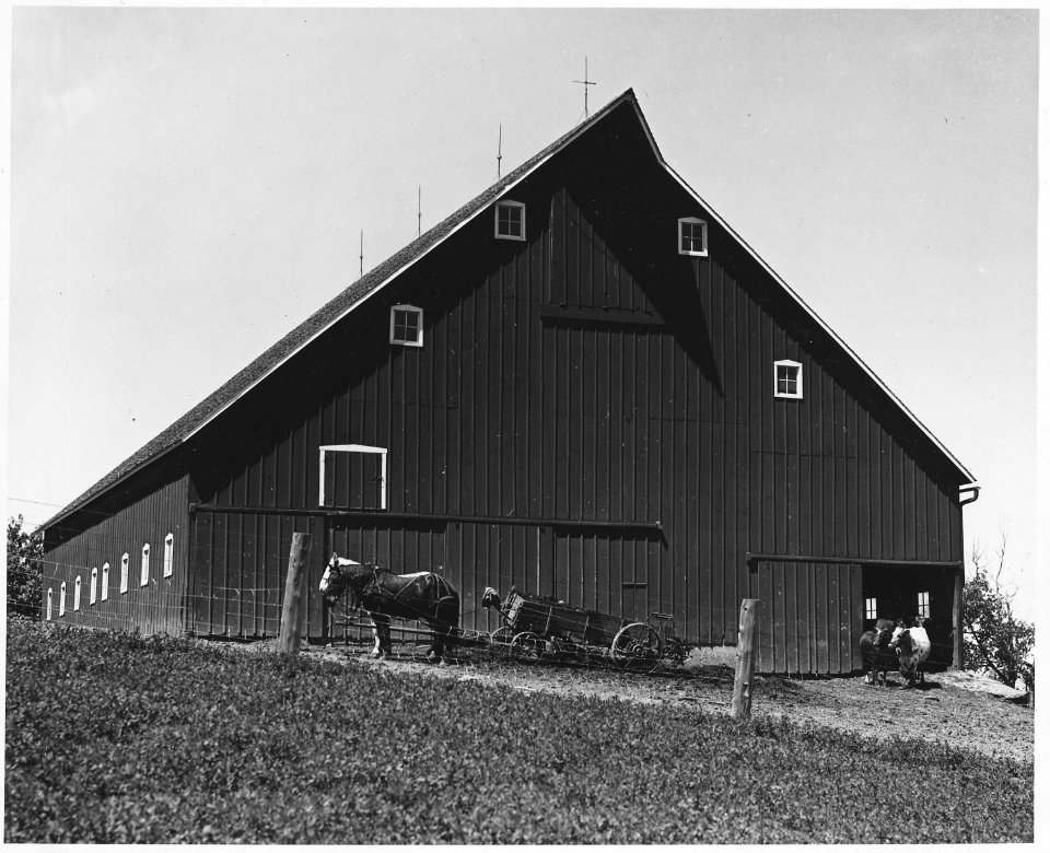 Shelby County, Iowa. These barns are on a tenant farm with less than the average amount of land unde . . . - NARA - 522339