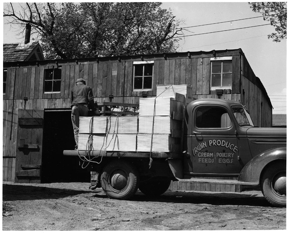 Shelby County, Iowa. Other buildings and businesses in Irwin. ...there is a very small organization . . . - NARA - 522361