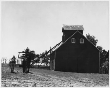 Shelby County, Iowa. These barns are on a tenant farm with less than the average amount of land unde . . . - NARA - 522432