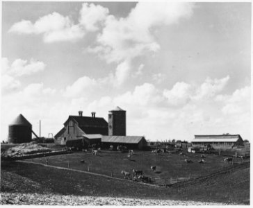 Shelby County, Iowa. These are among the finest farm buildings in the community, and are all of mode . . . - NARA - 522342