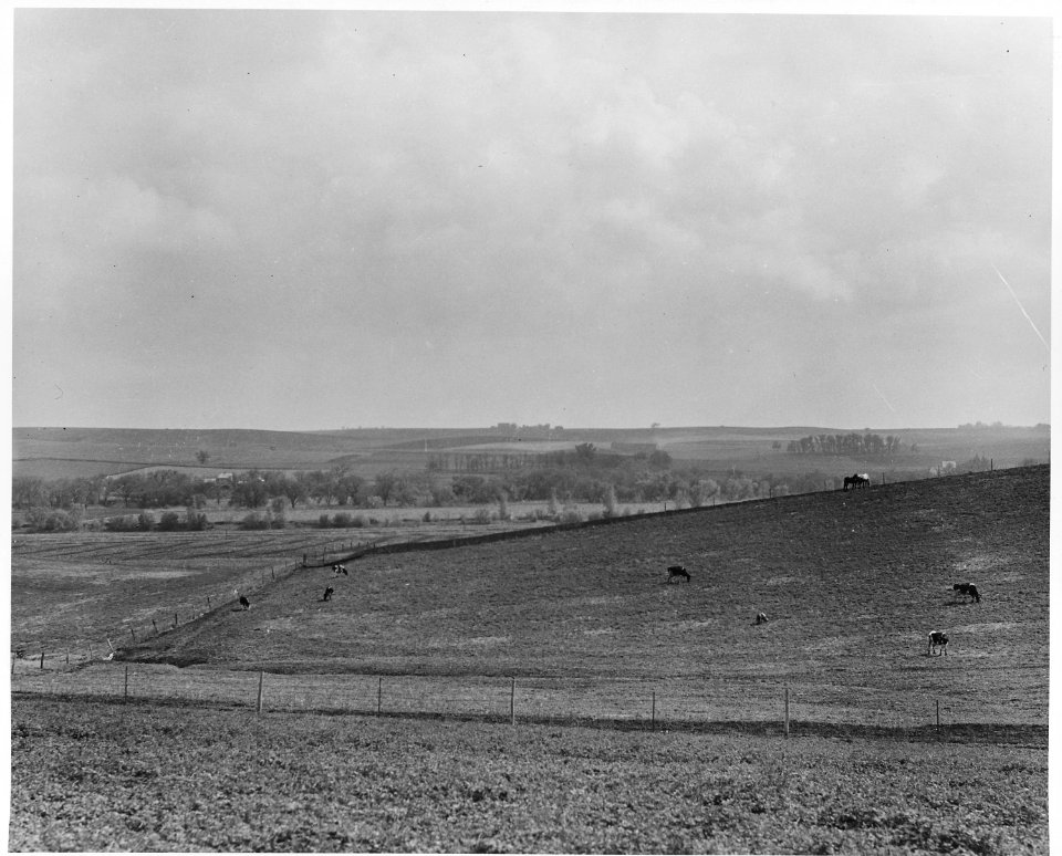 Shelby County, Iowa. This is the land that supports the people in Irwin - some of the best land in . . . - NARA - 522294
