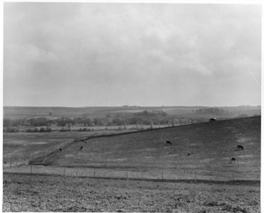 Shelby County, Iowa. This is the land that supports the people in Irwin - some of the best land in . . . - NARA - 522294