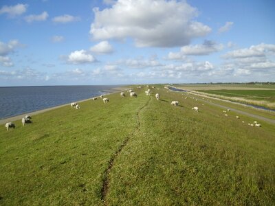 Holland netherlands beach