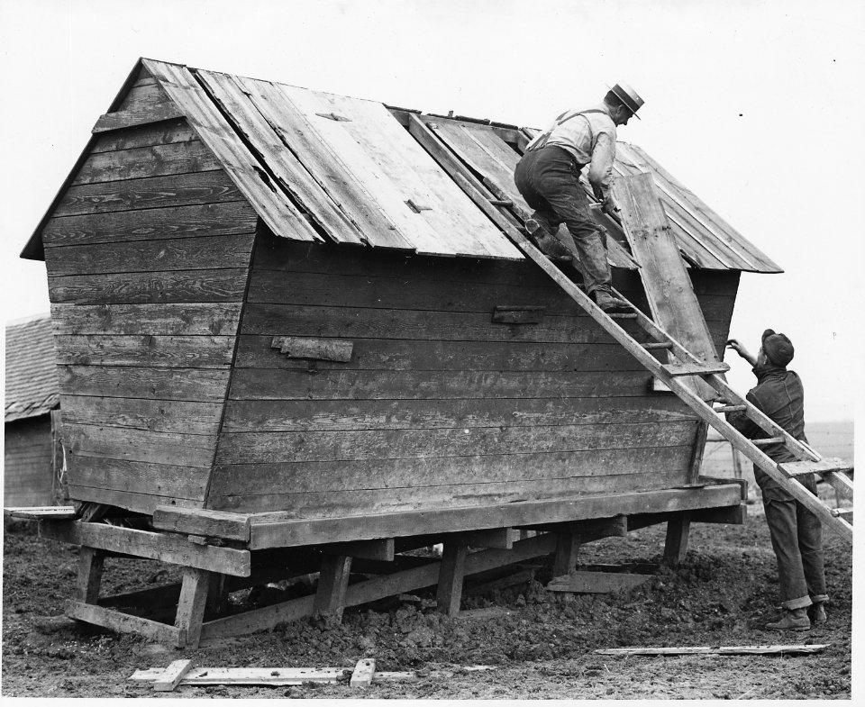 Shelby County, Iowa.... Detailed description, A self-feeder in the barnyard of a medium-sized stock . . . - NARA - 522451