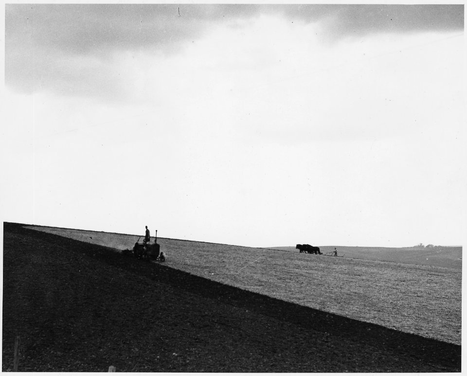 Shelby County, Iowa. This is the land that supports the people in Irwin - some of the best land in . . . - NARA - 522430