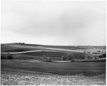 Shelby County, Iowa. This is the land that supports the people in Irwin - some of the best land in . . . - NARA - 522298