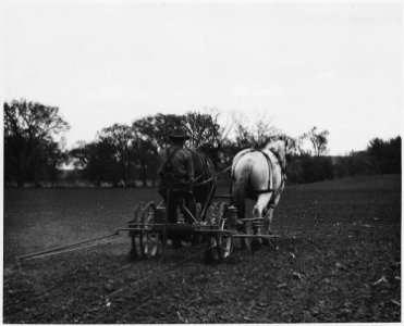 Shelby County, Iowa.... Detailed description, This is a common type of corn planter. It drops three . . . - NARA - 522445