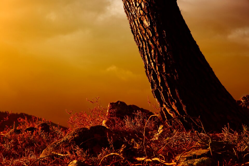 Landscape twilight light