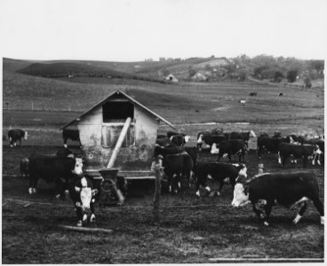 Shelby County, Iowa.... Detailed description, A self-feeder with a feed grinder set up to refill it. - NARA - 522452