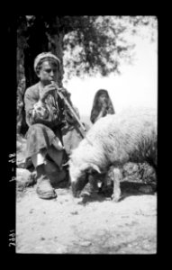 Shepherd scenes. Shepherd boy playing to his sheep. The typical reed-pipe LOC matpc.22080