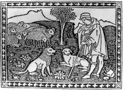 Shepherd, sheep and 2 dogs LCCN2006688519