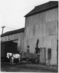 Shelby County, Iowa.... Detailed description, There are a few small elevators in Irwin, located, of . . . - NARA - 522446