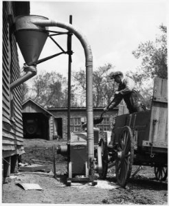Shelby County, Iowa.... Grinding feed at home. The grinder, a new and very efficient machine, is run . . . - NARA - 522447 photo
