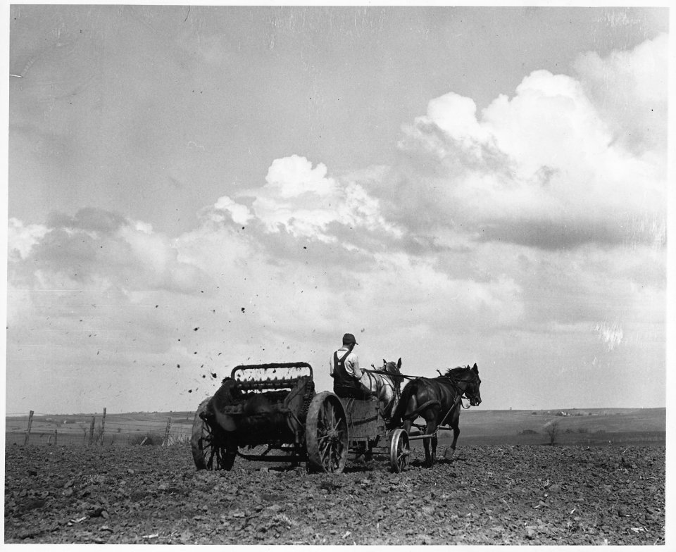 Shelby County, Iowa.... Detailed description, These pictures show how people in this locality preser . . . - NARA - 522437