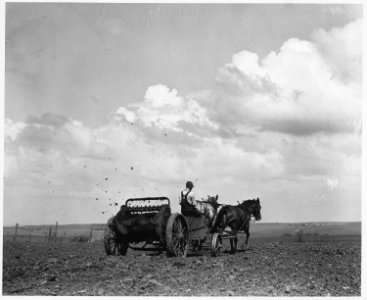 Shelby County, Iowa.... Detailed description, These pictures show how people in this locality preser . . . - NARA - 522437