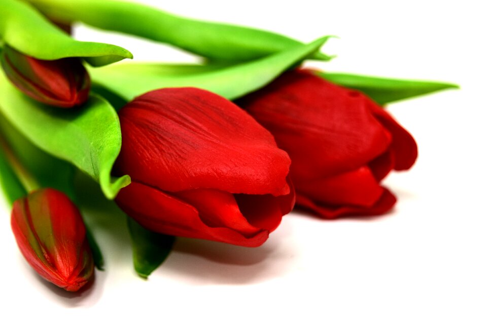 Artificial spring red
