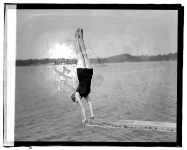Sherwood Farms (i.e., Forest), diving LCCN2016828126