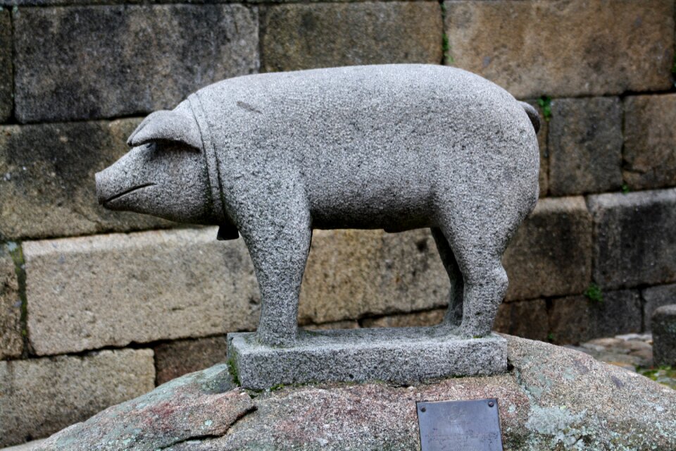 Berraco gorrino pork