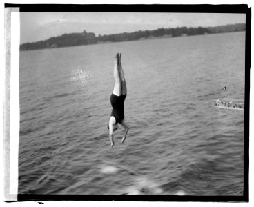 Sherwood Farms (i.e., Forest), diving LCCN2016828127