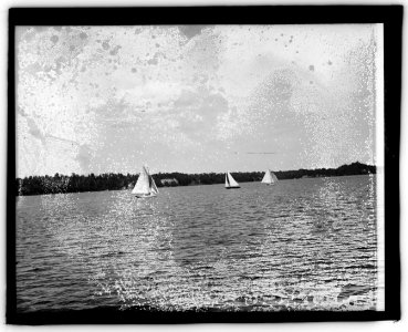 Sherwood Forest, yachting LCCN2016828337
