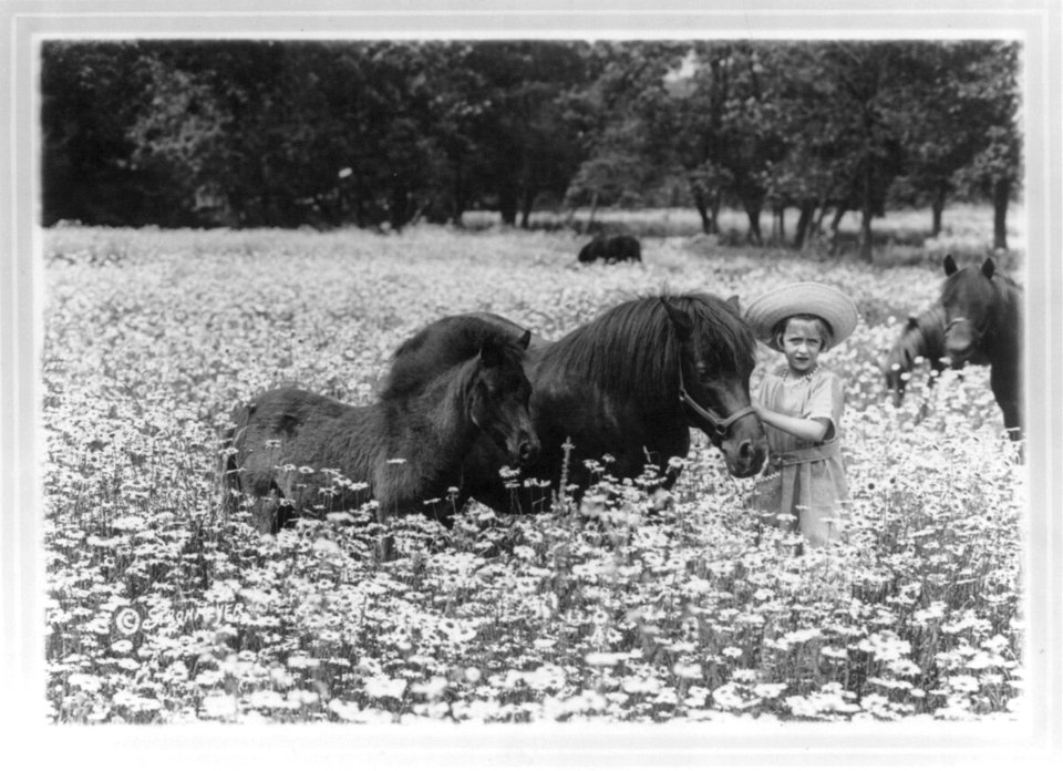 Shetland mare and colt and Ethel (girl) in daisy field LCCN2003671095