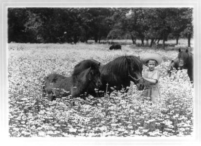 Shetland mare and colt and Ethel (girl) in daisy field LCCN2003671095