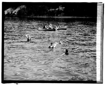 Sherwood Farms (i.e., Forest), canoeing LCCN2016828129