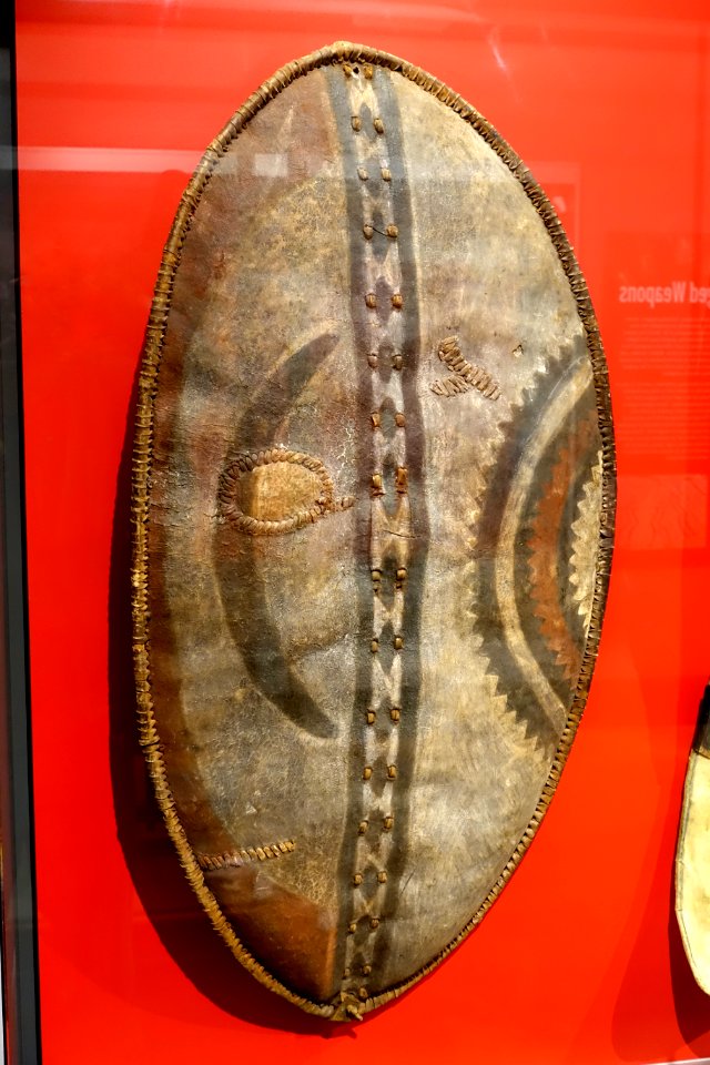 Shield, Maasai, Kenya - Peabody Museum, Harvard University - DSC05992