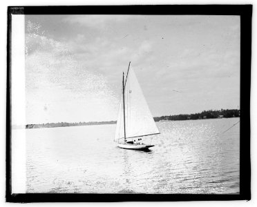 Sherwood Forest, yachting LCCN2016828335