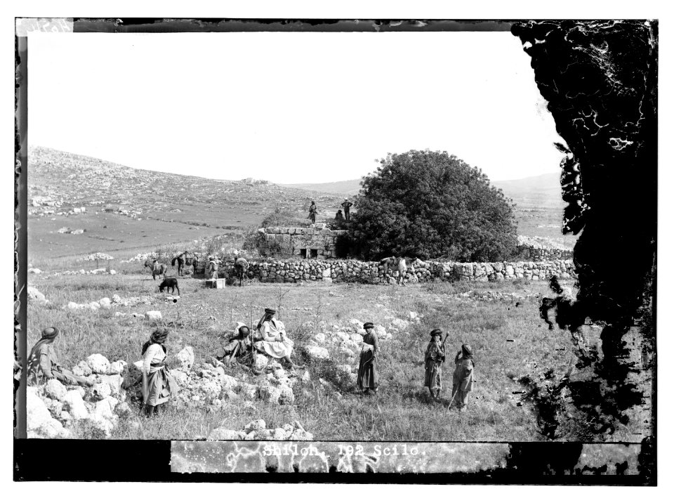 Shiloh LOC matpc.11381