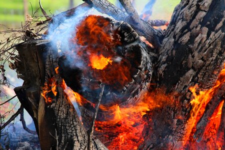 Log flames hot photo