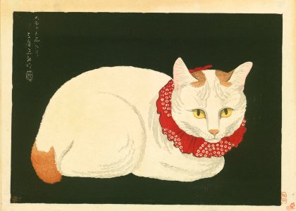 Shironeko by Takahashi Hiroaki