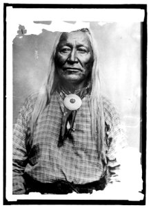 Shoshone Chief Washakie LCCN2016821321
