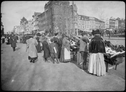 Shoppers at the outdoor food market, 7th Street at Pennsylvania Avenue, NW, Washington, D.C. View looking up 7th Street, - NARA - 518226