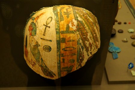 Shoulder of a mummy with ba soul-MAHG 9171-P6130439