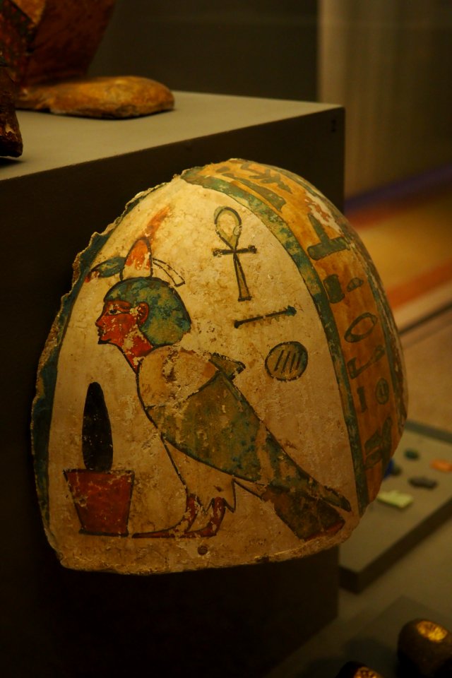 Shoulder of a mummy with ba soul-MAHG 9171-P6130441