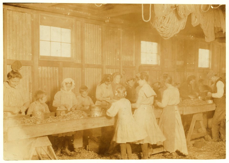 Shrimp-pickers in Peerless Oyster Co. Photo taken just as they stood. On other side of the shed, still younger children were working. Out of sixty working (only half were there) I counted LOC nclc.00892