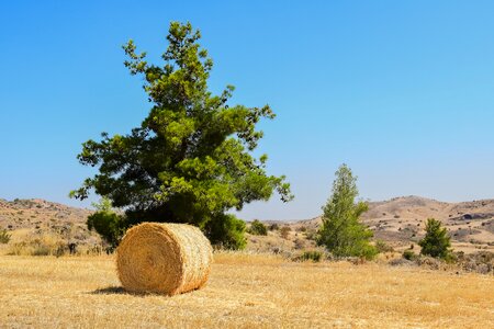 Hay bale nature forest
